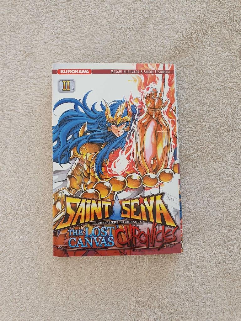 Manga Saint Seiya - The Lost Canvas Chronicles 2, Livres, Comics, Enlèvement, Utilisé, Japon (Manga)