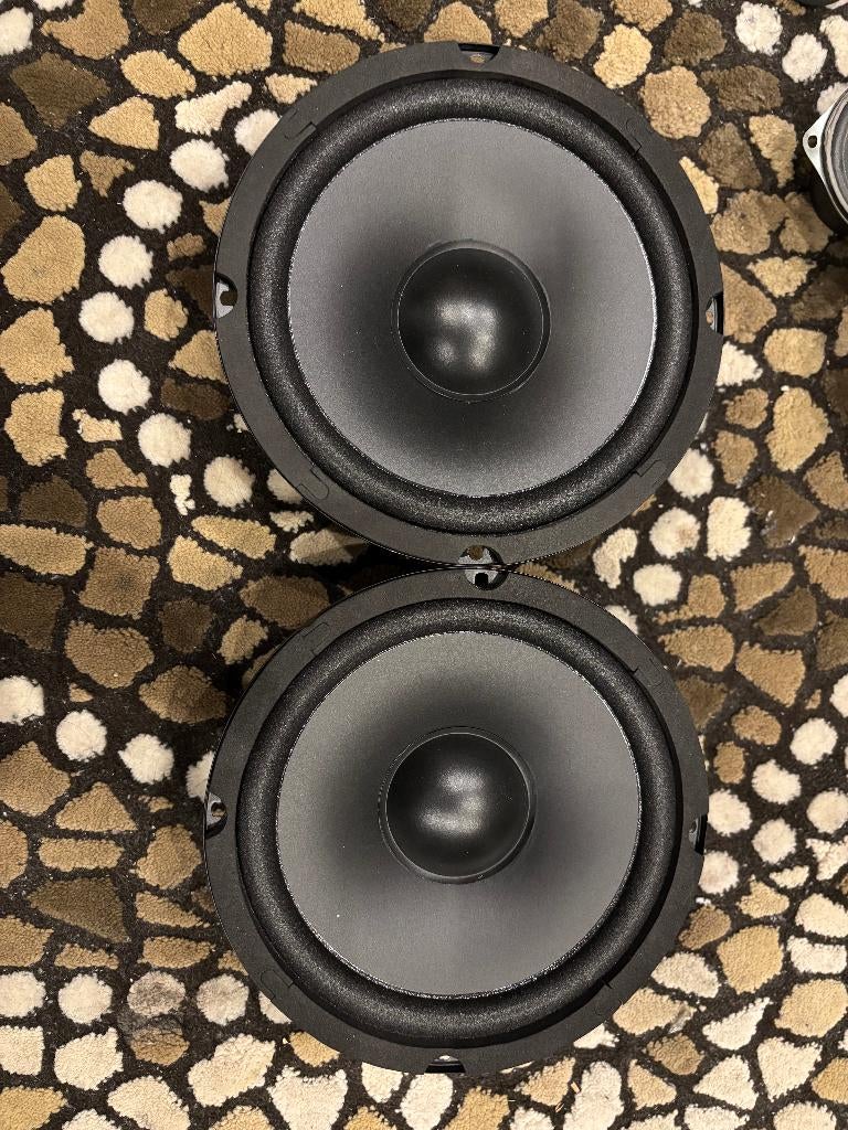 speaker, Audio, Tv en Foto, Luidsprekerboxen, Overige merken, Nieuw, Ophalen of Verzenden, 120 watt of meer
