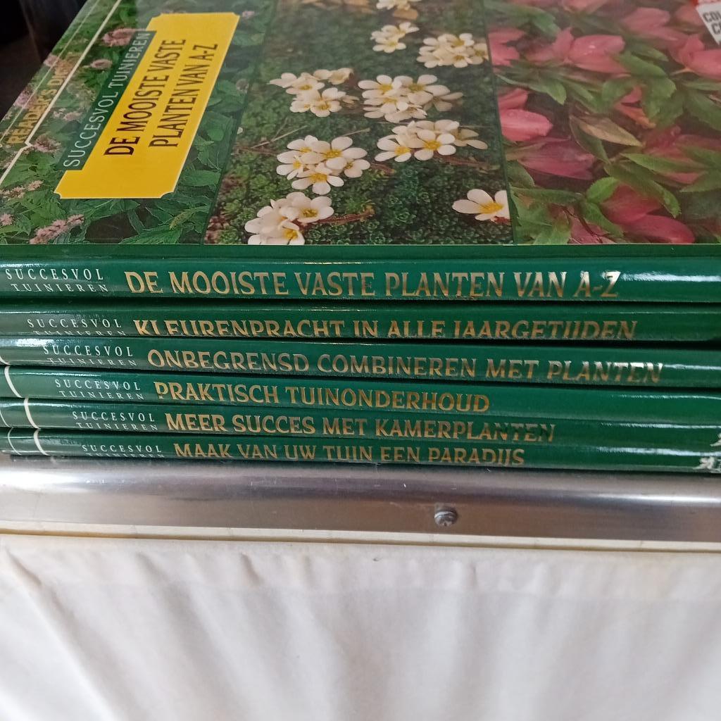 Planten -tuinieren -tuin aanleggen, Jardin & Terrasse, Enlèvement ou Envoi, Plante fixe, Autres espèces