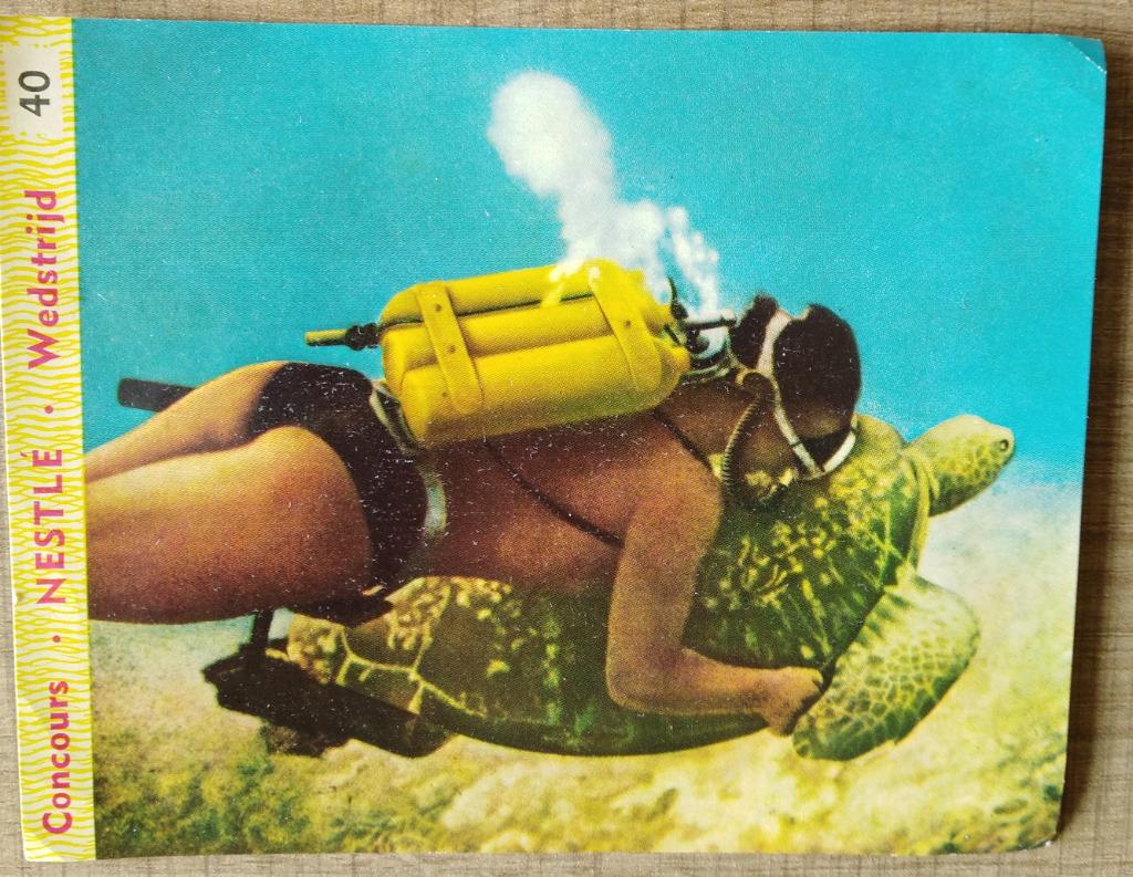 Verzamelprent uitgegeven door Nestlé en Sabena (1958-1959), Collections, Photos & Gravures, Enlèvement ou Envoi, Gravure, Utilisé