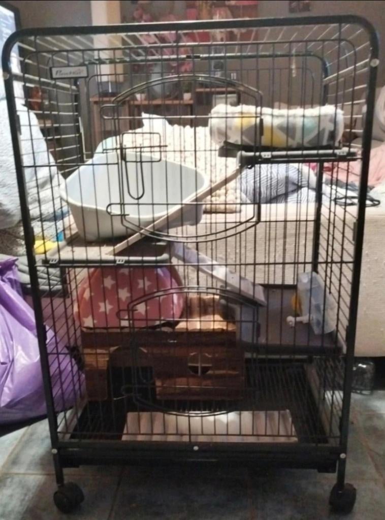 Cage pour rongeur, Animaux & Accessoires, 90 cm ou plus, Enlèvement ou Envoi, Cage, Comme neuf
