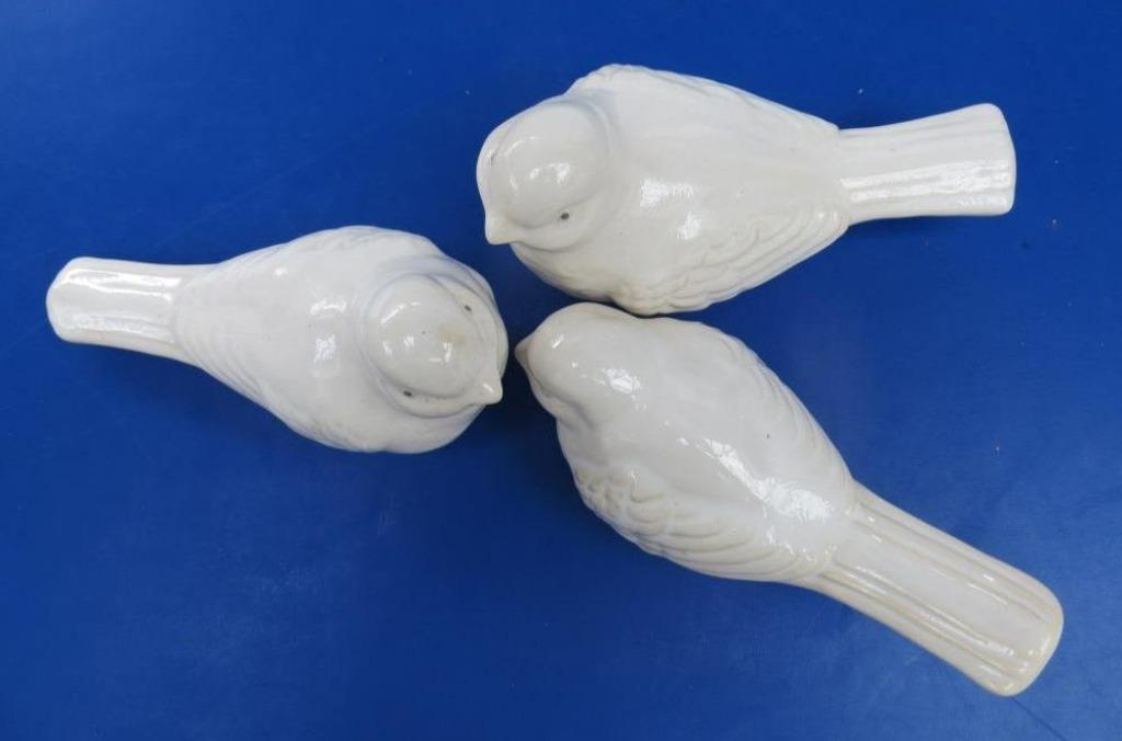 vogeltjes, Ophalen of Verzenden, Nieuw, Dier