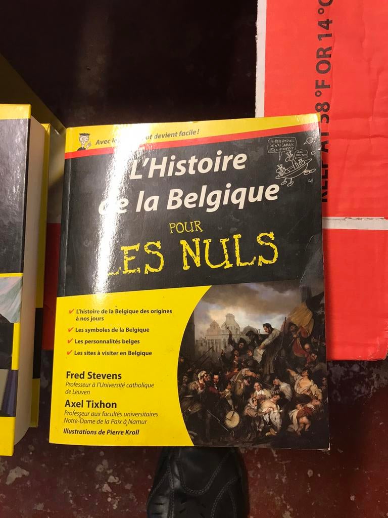Livres pour les nuls, Livres, Comme neuf