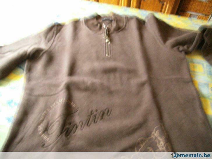 Pull TINTIN homme brun taupe. Taille M., Verzenden, Gedragen, Maat 48/50 (M), Bruin