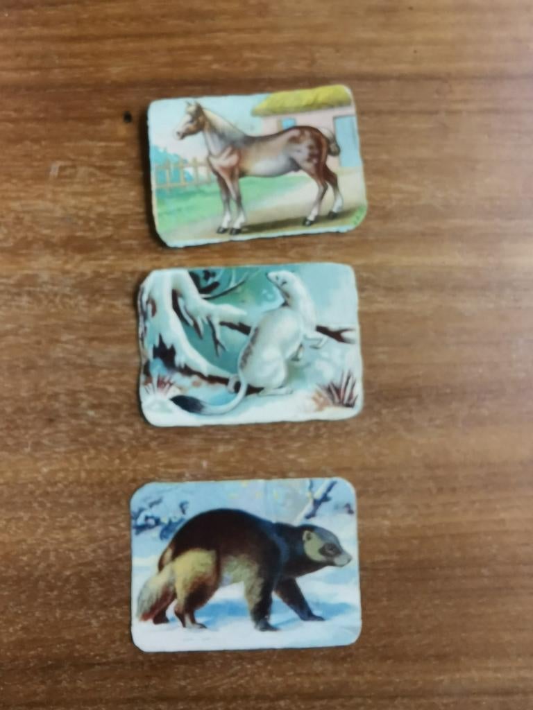 Prentjes, chromos, plaatjes Chocolaterie Sirius Eecloo, Gebruikt, Ophalen of Verzenden, 1940 tot 1960, Dier
