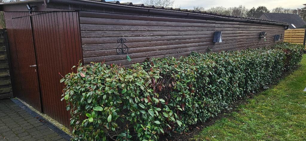 Tuinberging / garage, Jardin & Terrasse, Stockage & Armoires de jardin, Utilisé, Autres types, Bois, Enlèvement