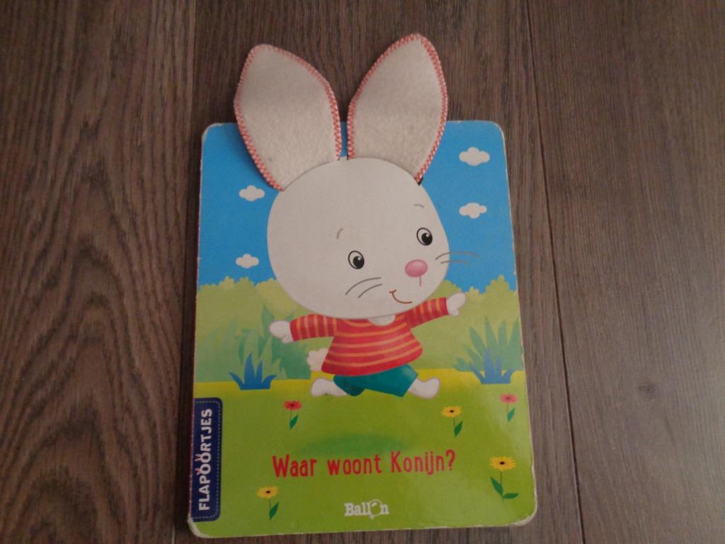kinderboek, Enlèvement, Utilisé, Fiction général