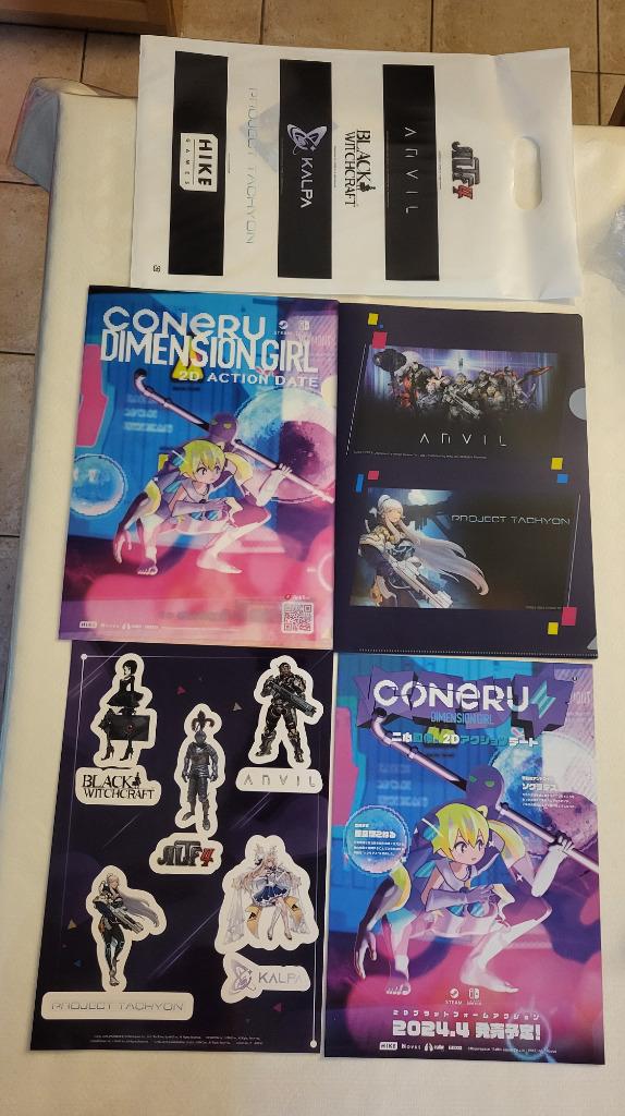Sac de goodies Hike Games – Tokyo Game Show 2023 (TGS), Collections, Collections Autre, Enlèvement