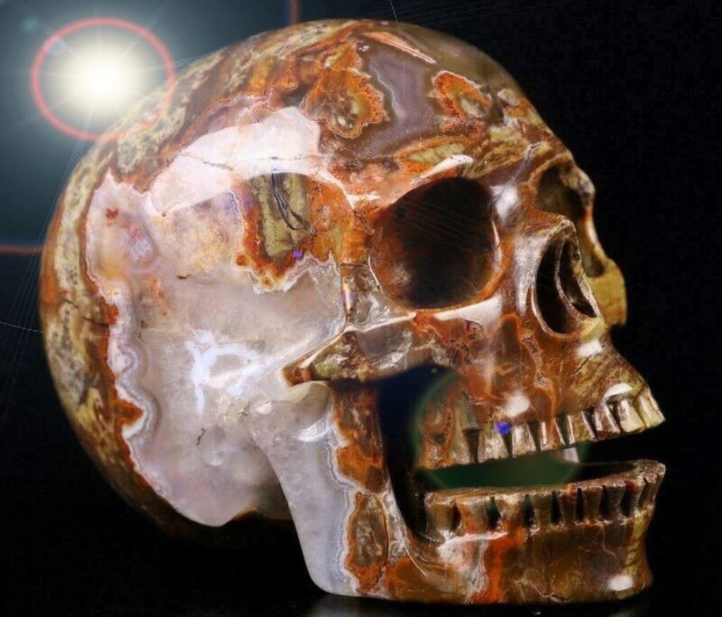 Agaat Schedel Skull Doodshoofd Jasper Morris Doodshoofd, Ophalen of Verzenden