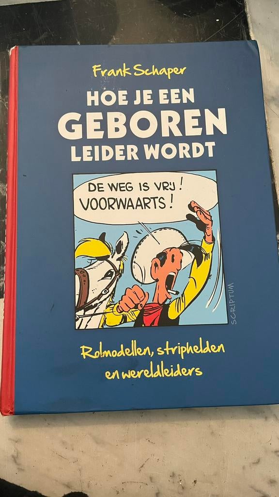 Boek Hoe je een geboren leider wordt door Frank Schaper, Ophalen of Verzenden, Zo goed als nieuw, Scriptum