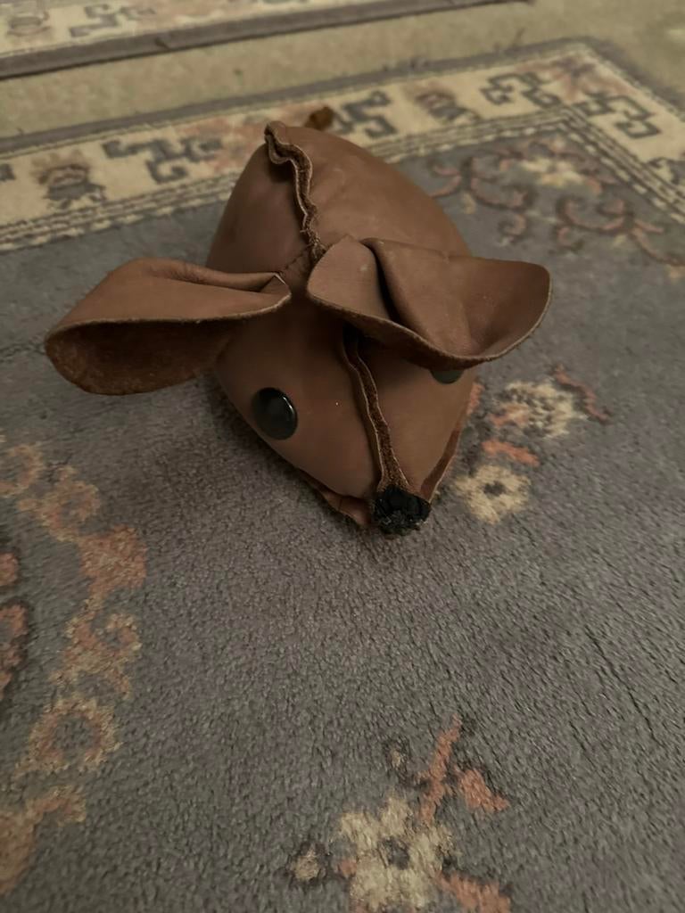 Lederen muis, Ophalen of Verzenden, Zo goed als nieuw, Overige typen