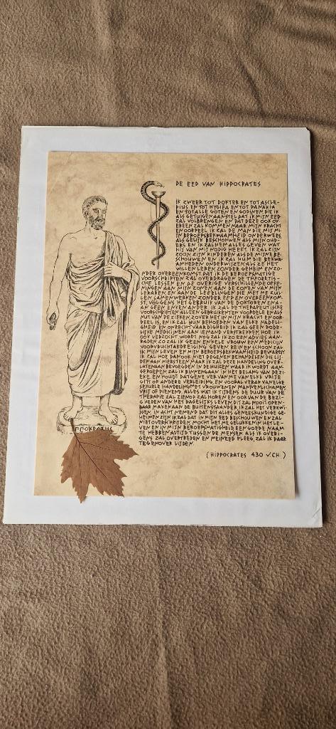 Kader met Eed van Hippocrates, Ophalen, Zo goed als nieuw