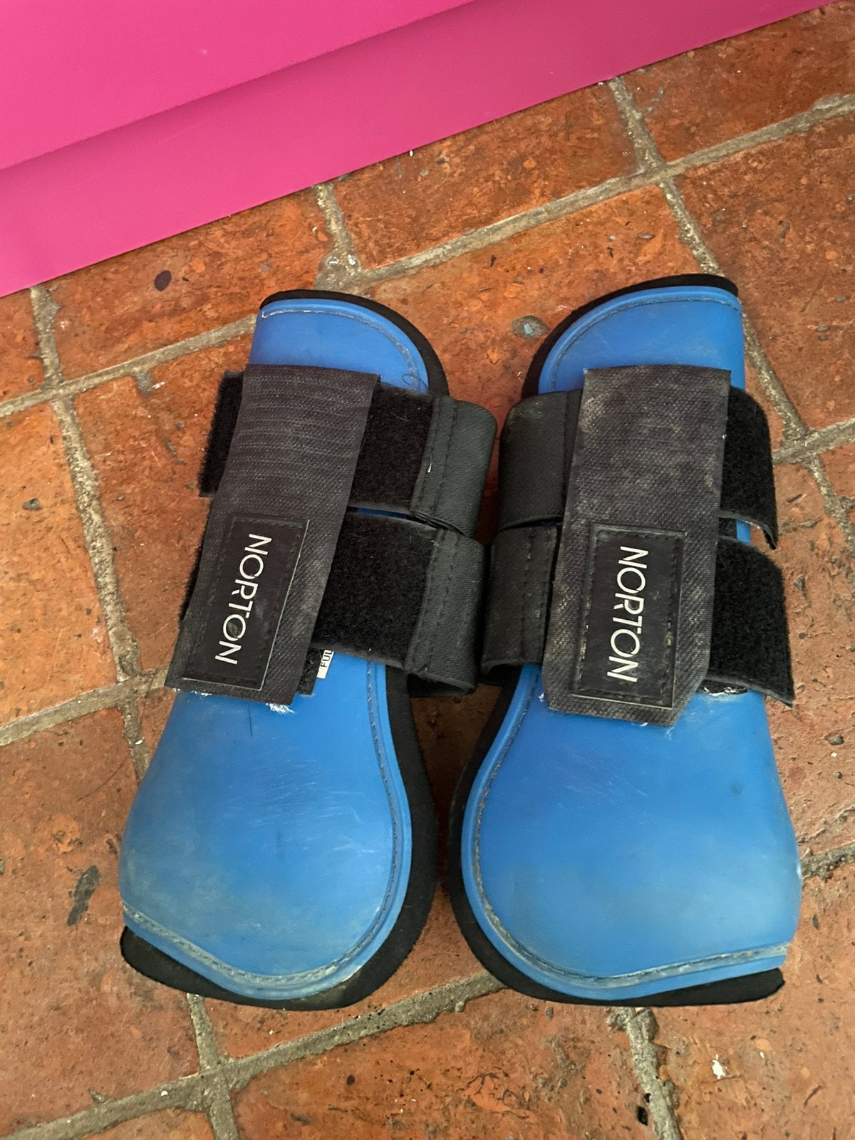 Getten te koop, Dieren en Toebehoren, Ophalen, Gebruikt, Overige merken, Full