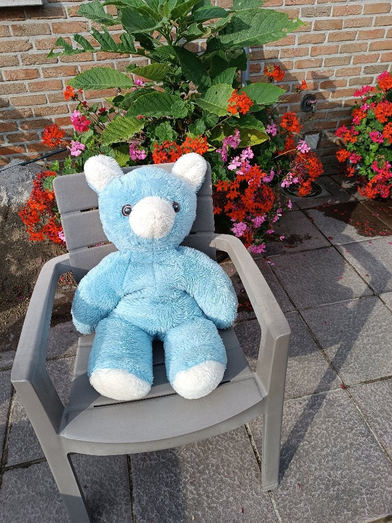 Pluche beer, Ophalen, Beer, Blauw, Zo goed als nieuw