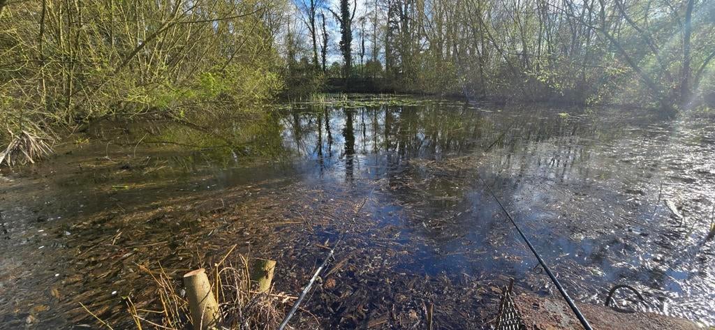 Natuurvijver voor herplaatsing of opvang vissen