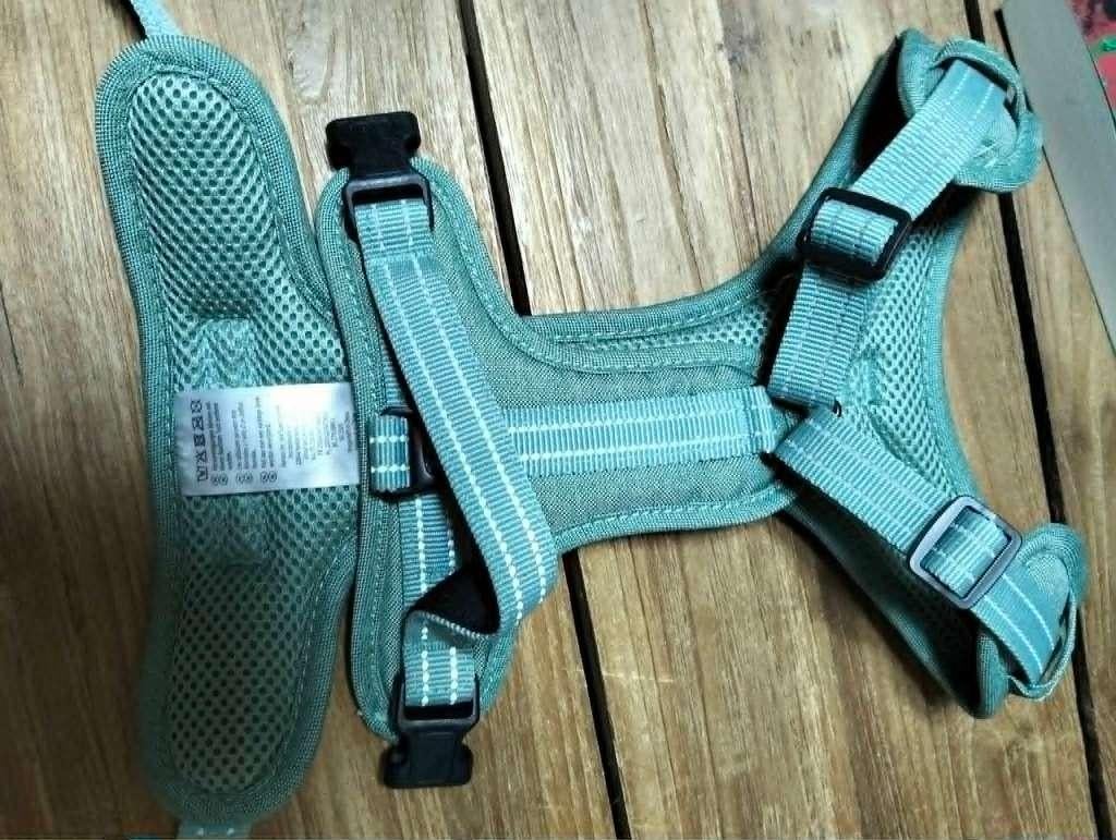 NIEUW hondentuigje voor middelmatig hondje (MEDIUM), Dieren en Toebehoren, Ophalen of Verzenden, Nieuw