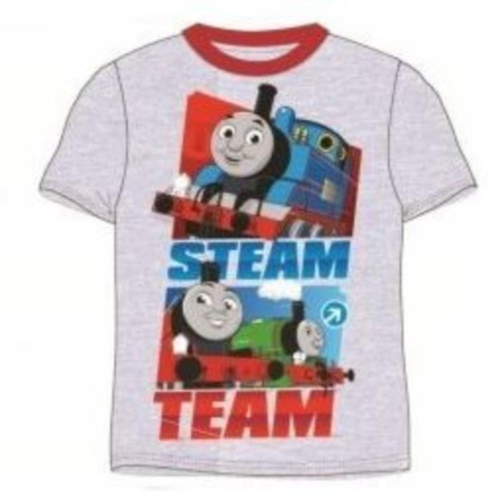 Thomas de Trein T-shirt Grijs - Maat 110 - 122 -128 - Disney, Kinderen en Baby's, Kinderkleding | Maat 110, Nieuw, Jongen, Shirt of Longsleeve