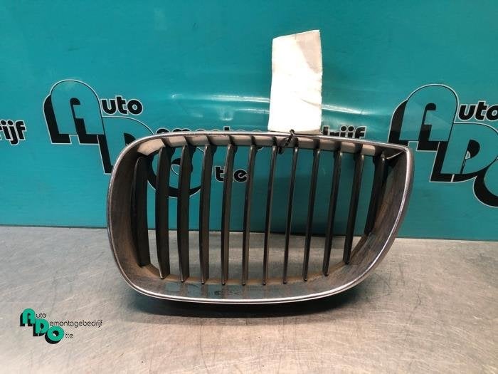 Calandre d'un BMW 1-Serie, -, 3 mois de garantie, Utilisé, -