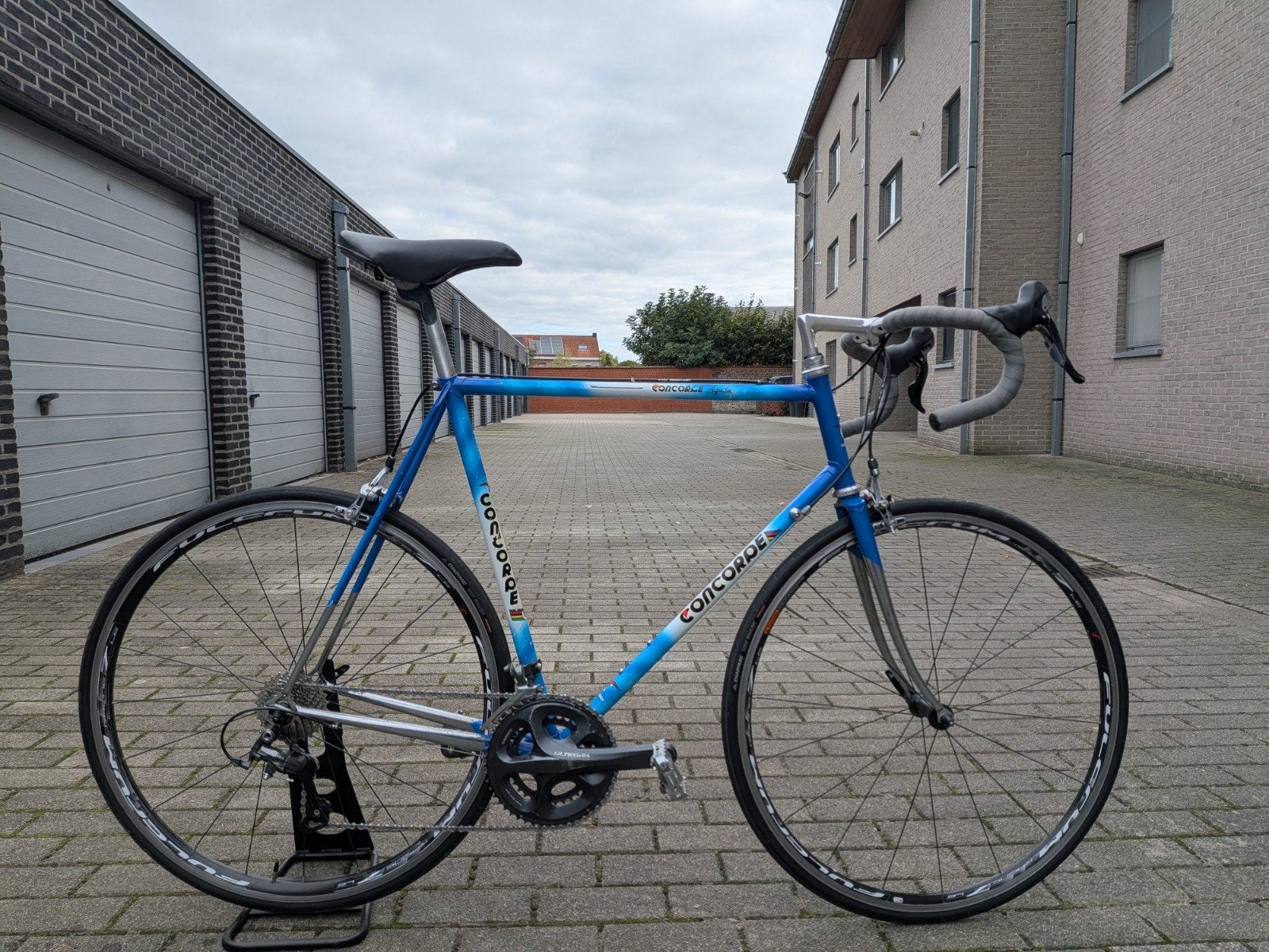 Retro Concorde Ultegra, Concorde, Frein sur jante, 59 cm ou plus, Enlèvement