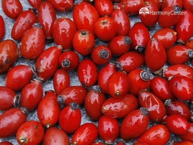 Rozenbottels voor papegaaien en grote parkieten
5€ per kg, Ophalen