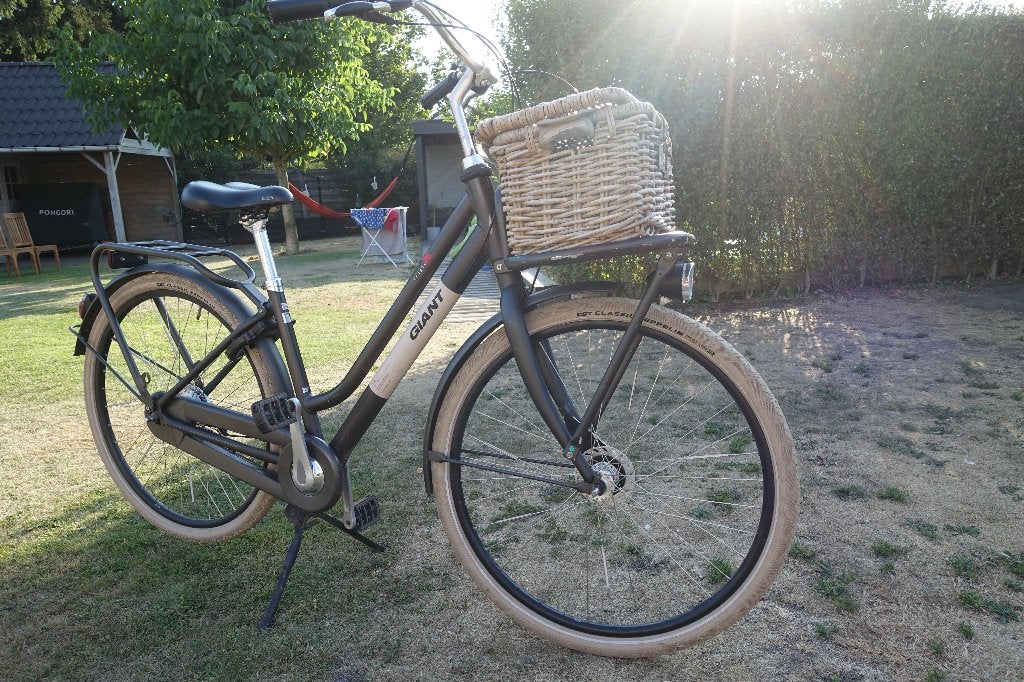 damesfiets, Fietsen en Brommers, Ophalen, Gebruikt, Versnellingen, Giant