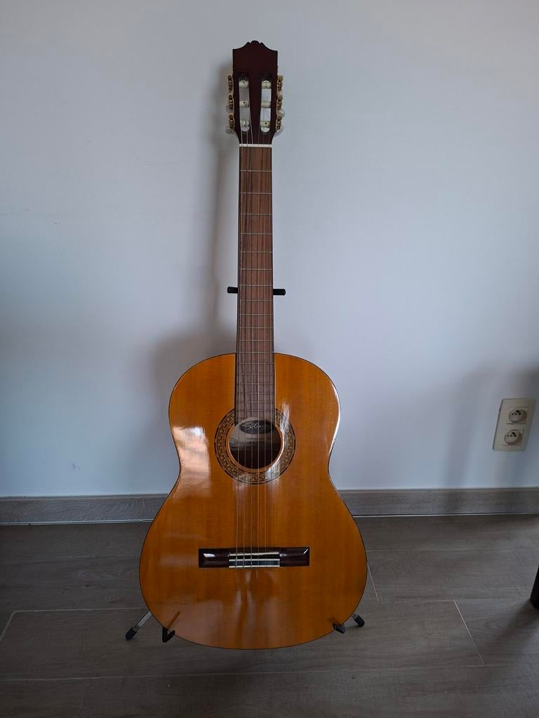 Stagg akoestische gitaar, Muziek en Instrumenten, Ophalen