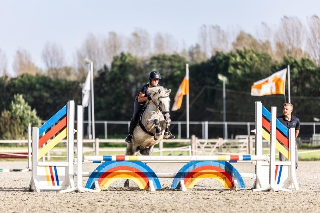 Leuke sportpony te koop, Poney C (1.27 m à 1.37m), Avec puce électronique, 11 ans ou plus, Hongre