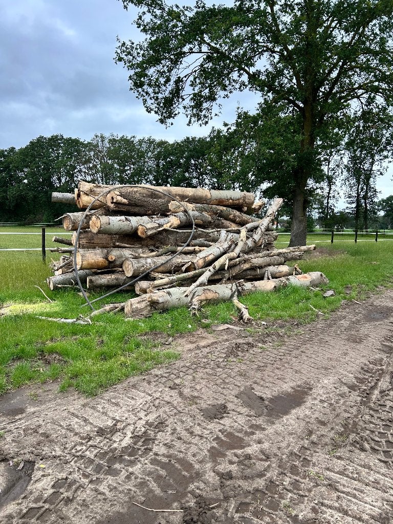 Brandhout, 6 m³ of meer, Ophalen, Overige houtsoorten, Stammen