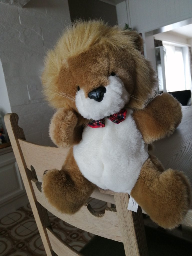 NIEUW handpop LEEUW, Ophalen of Verzenden, Nieuw, Leeuw, Wasbaar