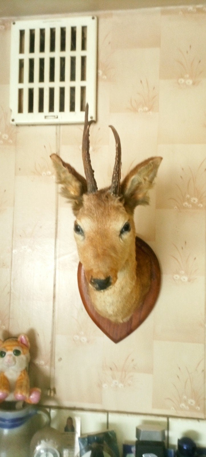 Hert / ree, Collections, Collections Animaux, Enlèvement, Cerf