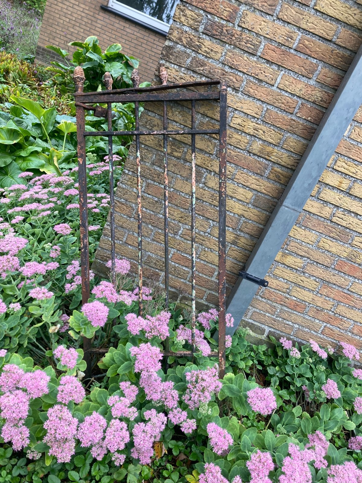 Clôtures décoratives en fer forgé, Enlèvement, Utilisé