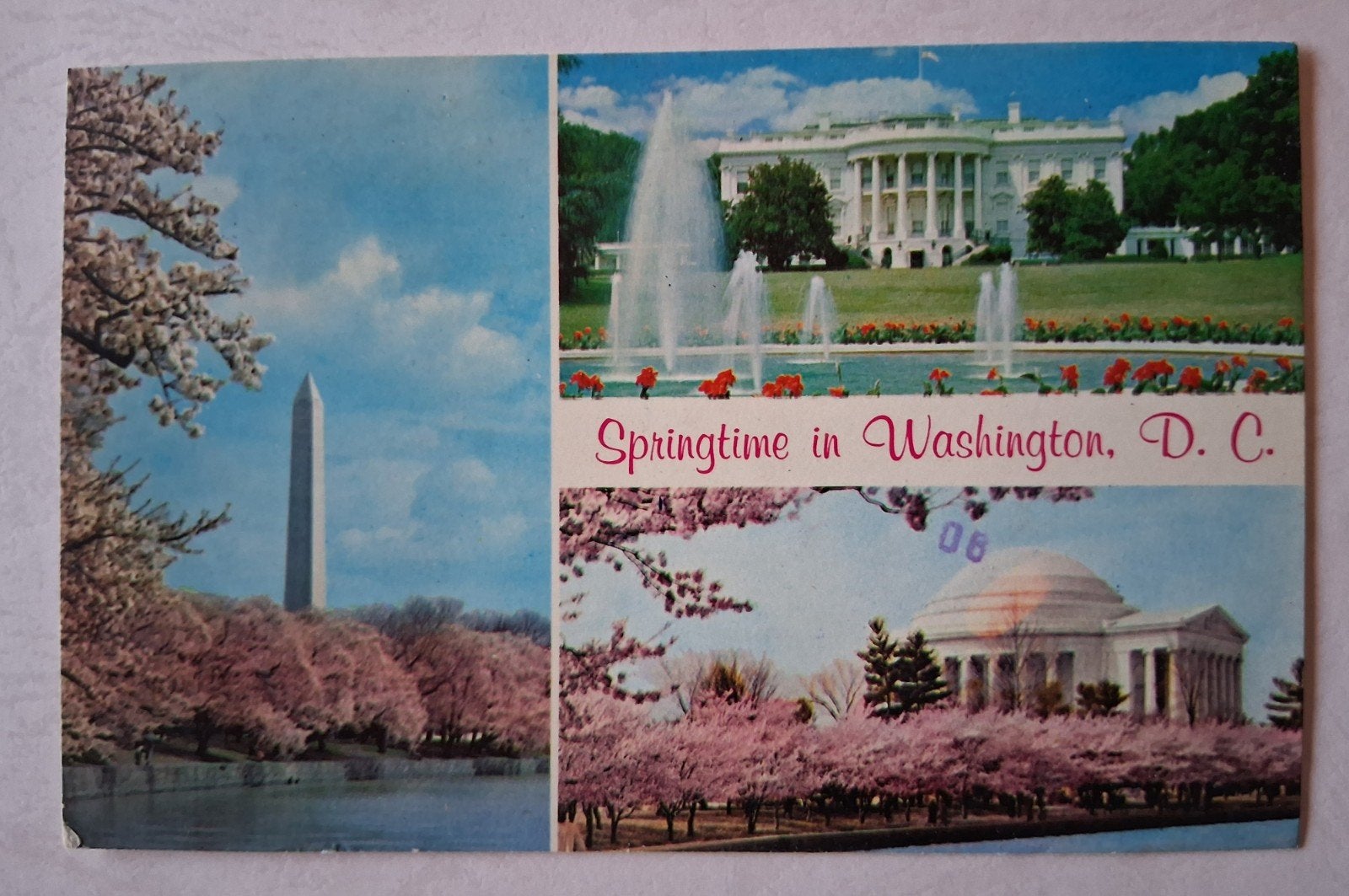 postkaart Springtime in Washington DC (Amerika), Collections, Cartes postales | Étranger, Enlèvement ou Envoi