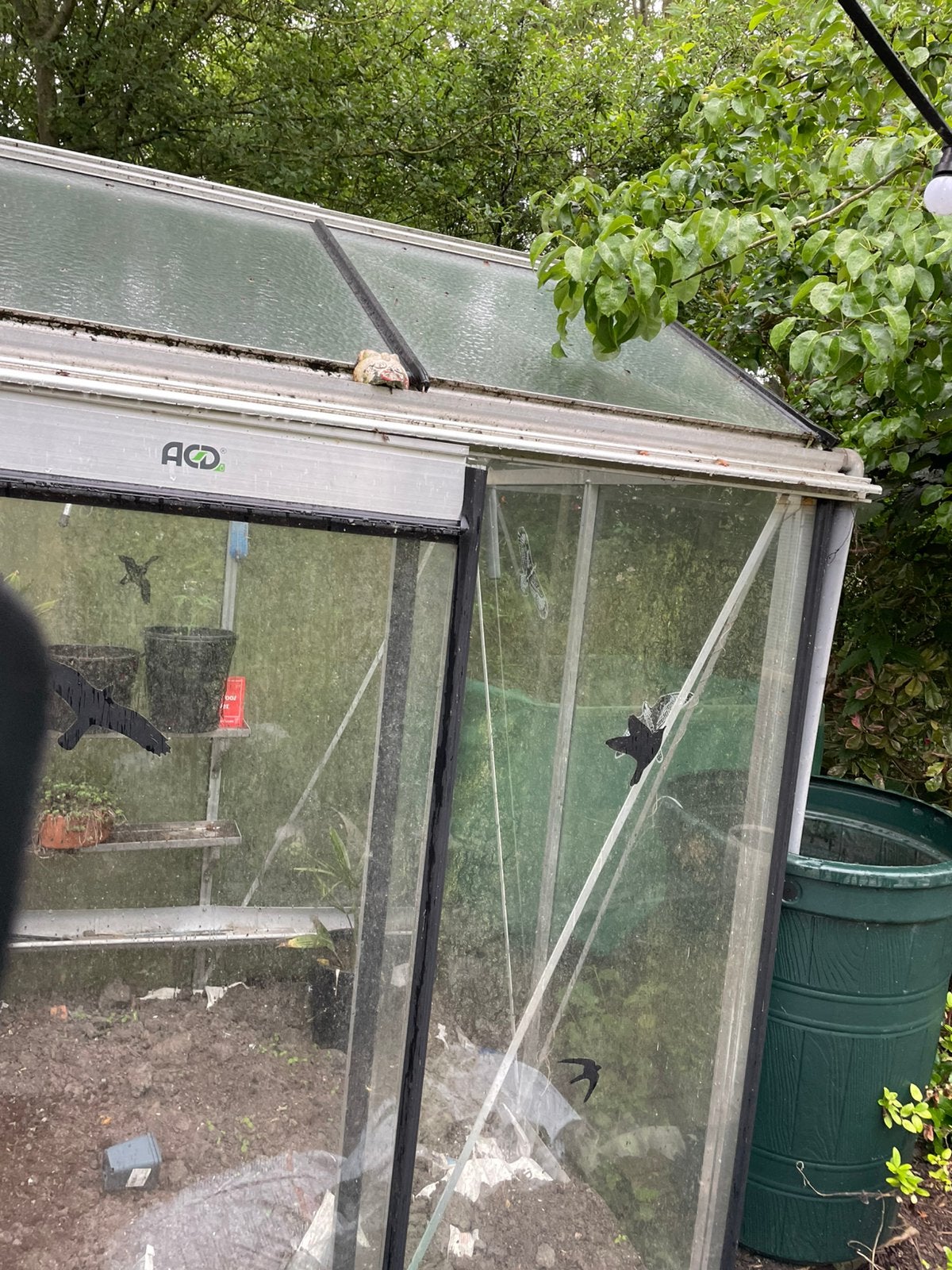Serre ACD piccolo 04, Tuin en Terras, Ophalen, Glas, Zo goed als nieuw