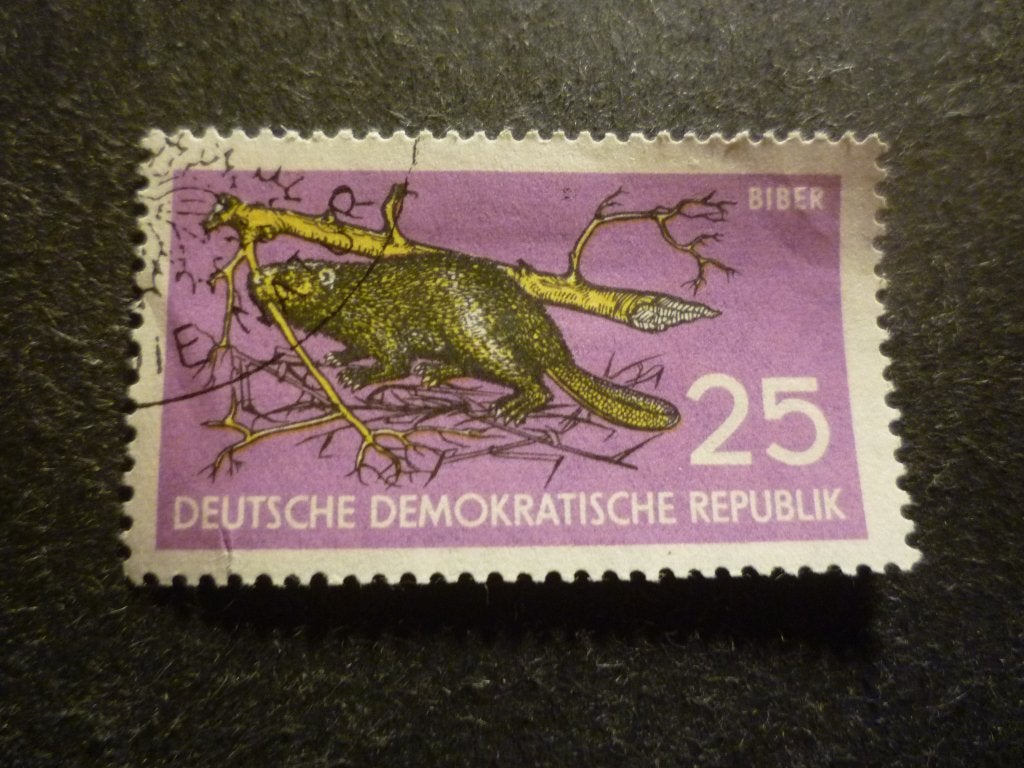 DDR 1959 Mi 691(o) Gestempeld/Oblitéré, Verzenden, DDR, Gestempeld