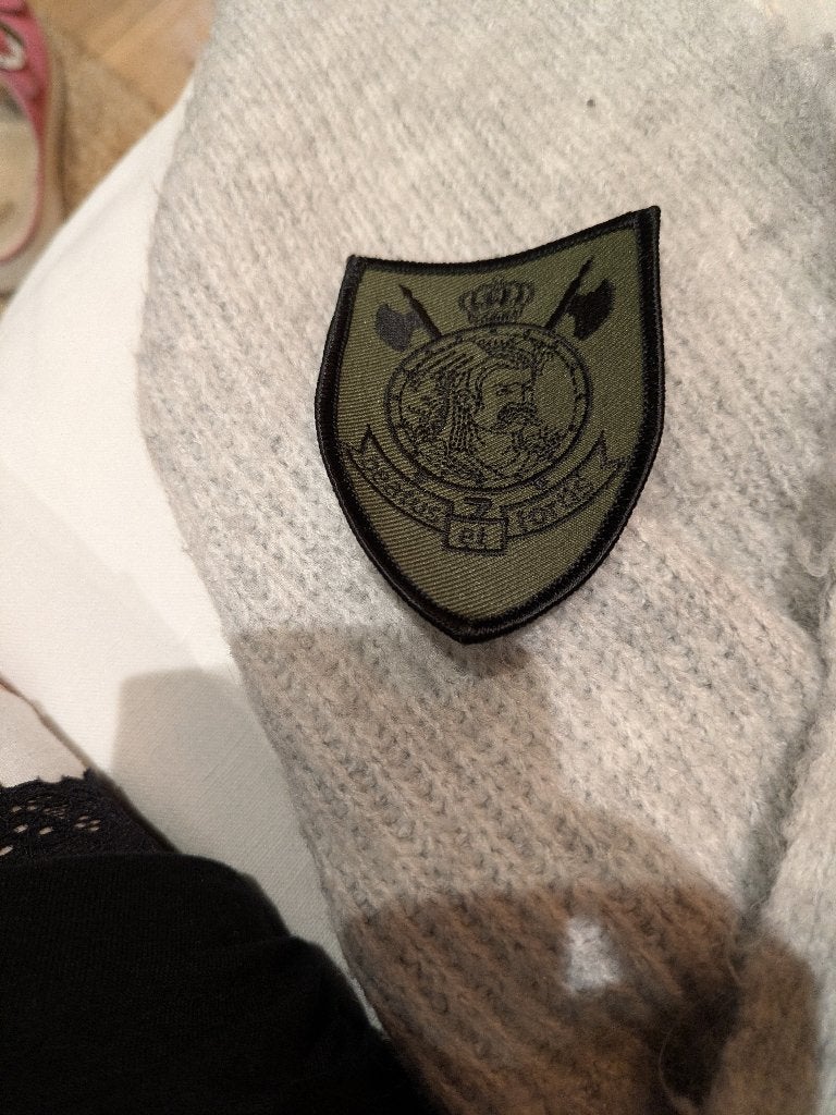 7de infanterie brigade, Ophalen of Verzenden, Landmacht, Embleem of Badge