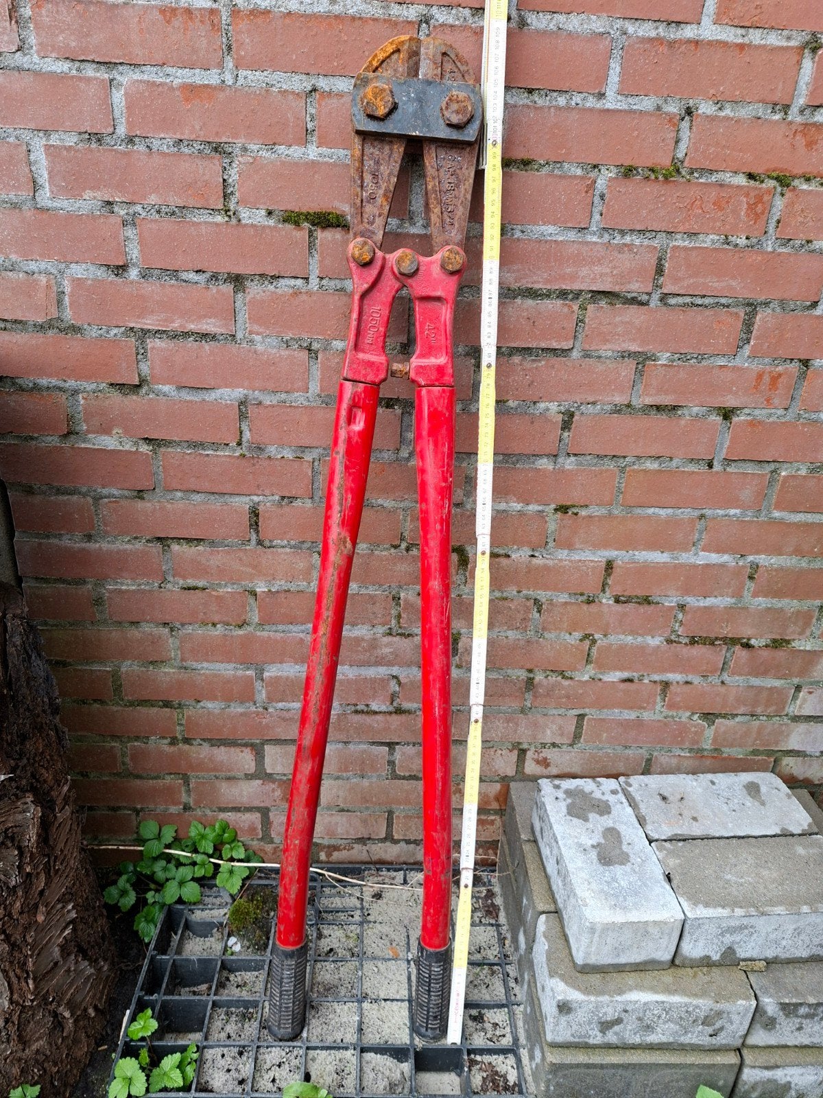 Betonijzer kniptang, Enlèvement