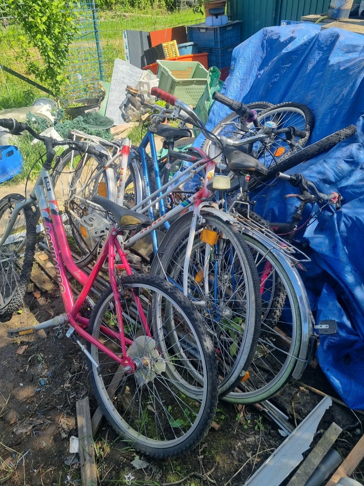 Lot de vélos, Enlèvement