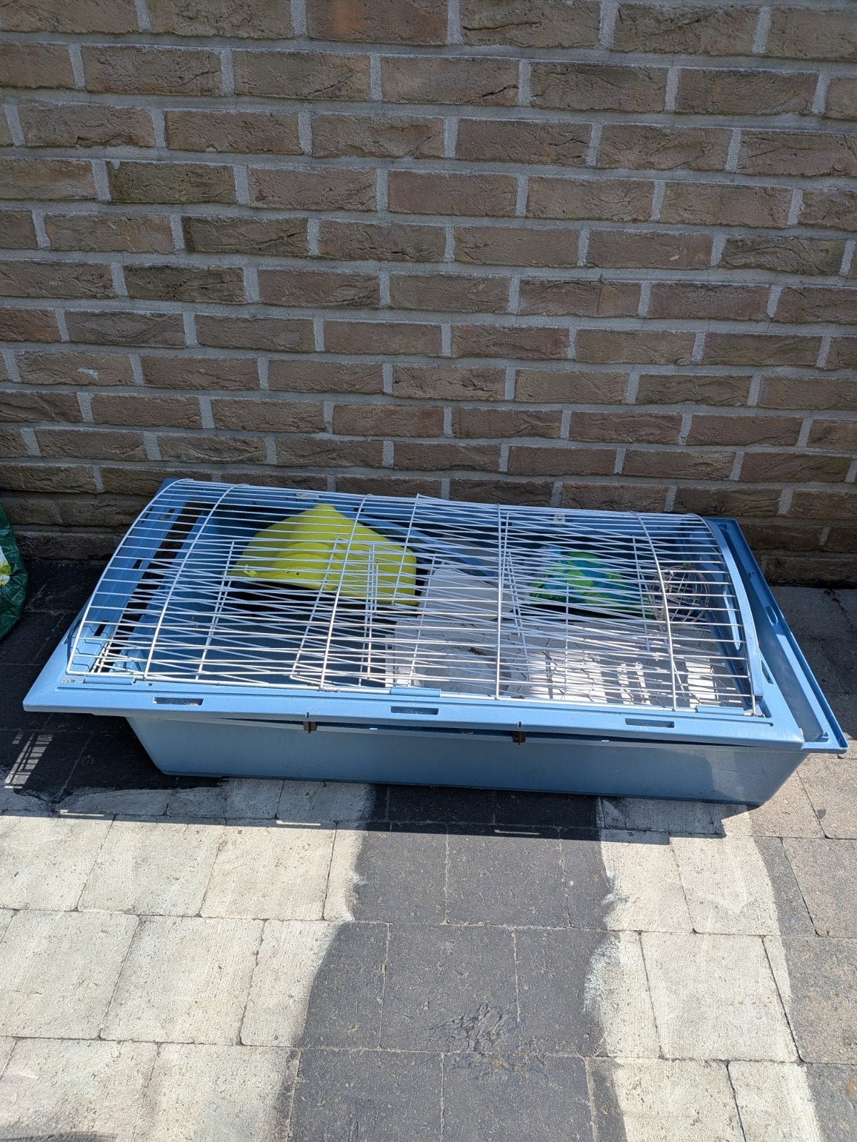Gratis af te halen: Blauwe kooi voor knaagdieren (konijn / c, Dieren en Toebehoren, Ophalen, Kooi, Cavia