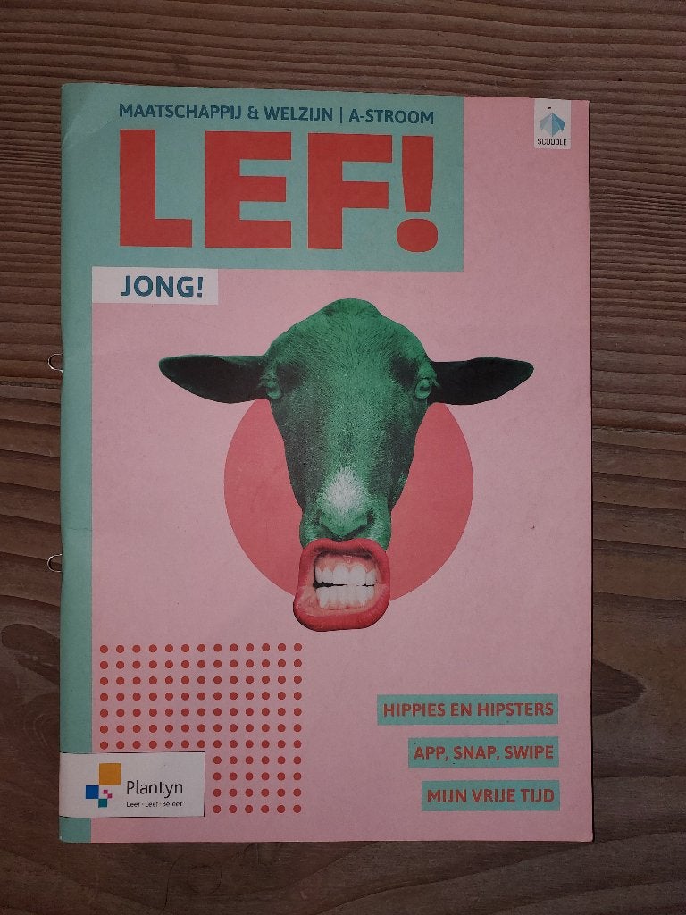 Boek Lekker in je Vel - stroom A - Jong, Boeken, Gelezen, Non-fictie, Uitgeverij VAN IN, Ophalen of Verzenden