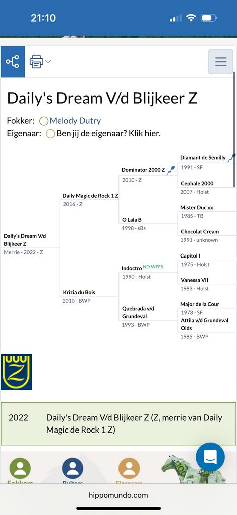 Bonte merrie met topafstamming, Dieren en Toebehoren, Merrie, Springpaard, Met stamboom, 3 tot 6 jaar