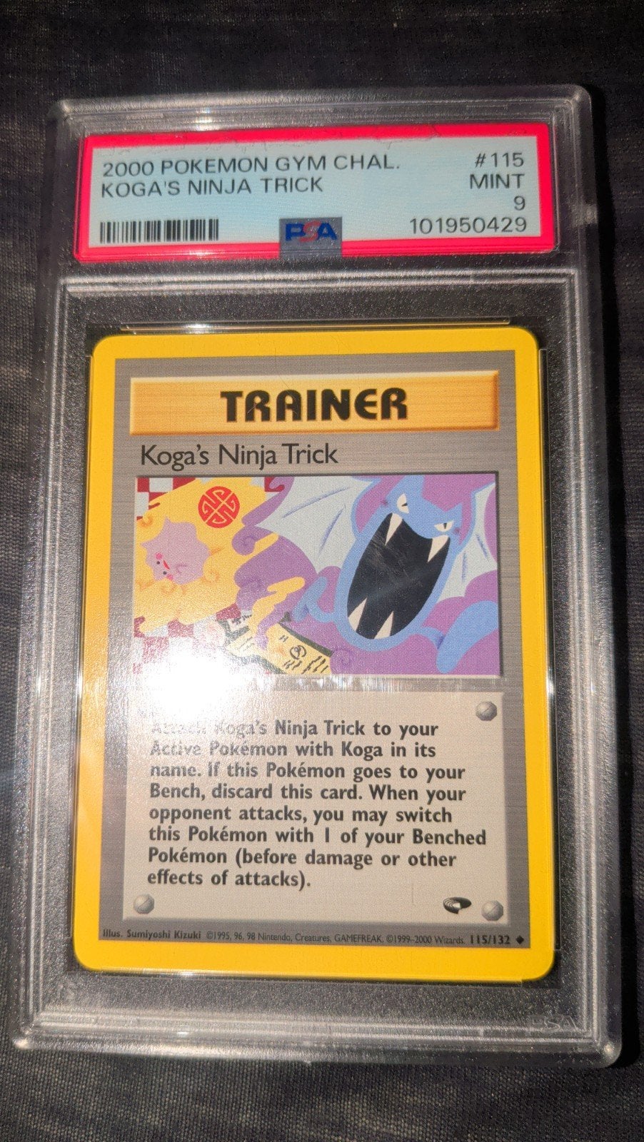 pokemon psa 9, Enlèvement