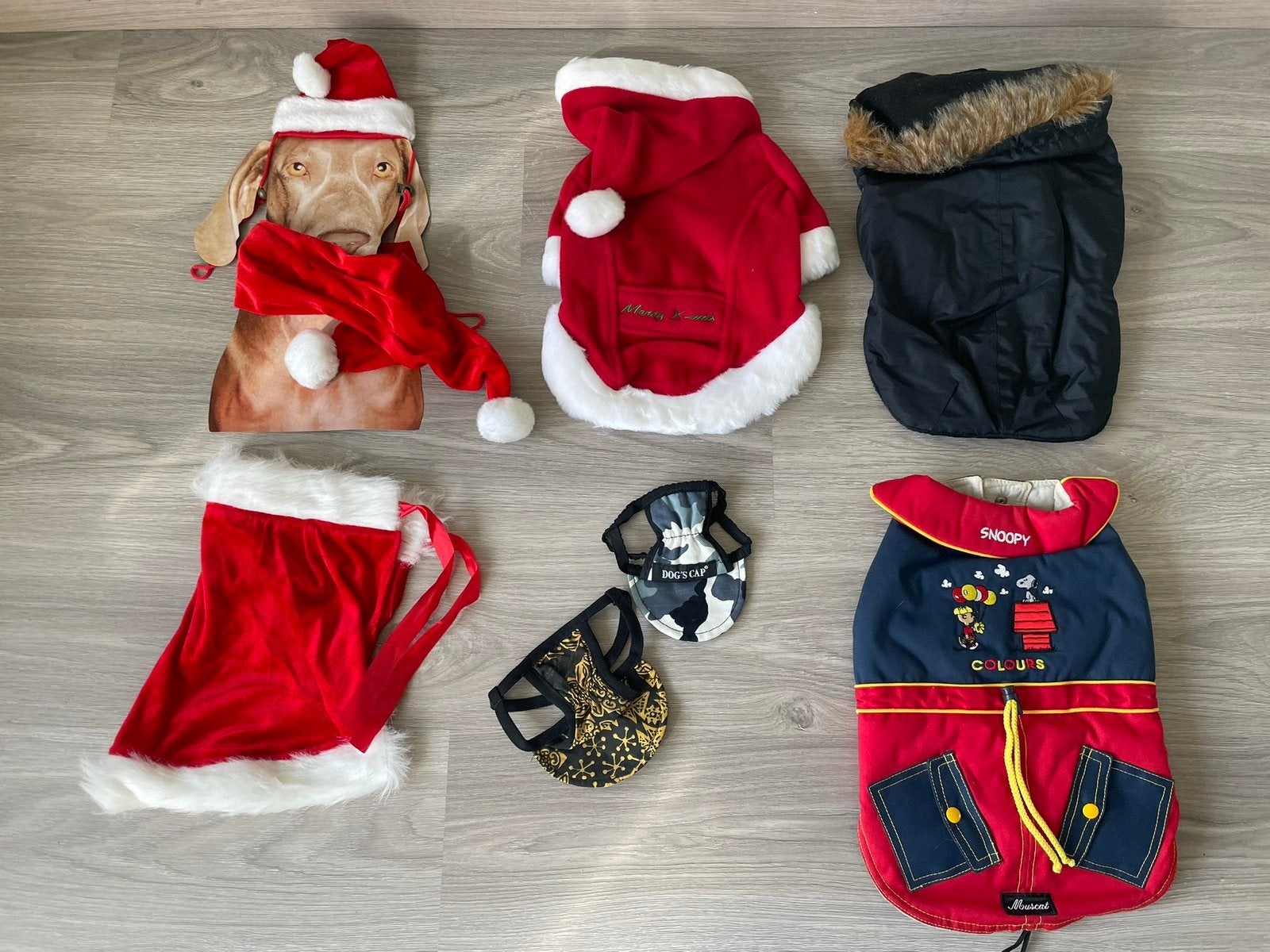 Accessoires pour chien, Enlèvement, Comme neuf