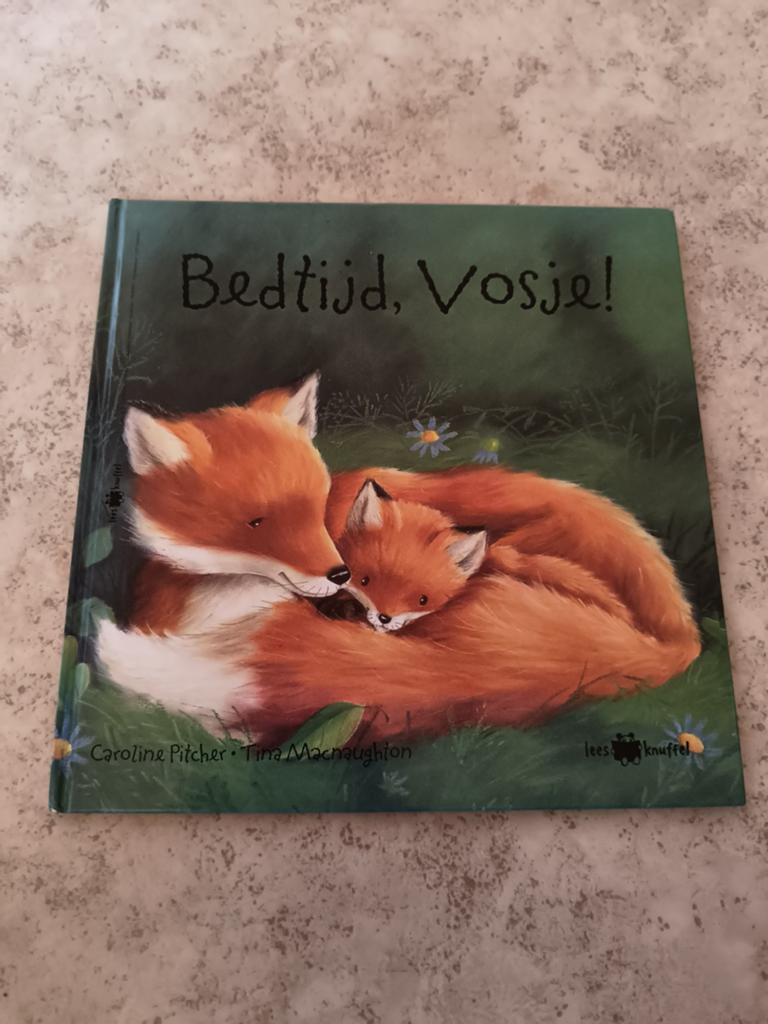 Kinderboek  bedtijd vosje leesknuffel Averbode, Boeken, Ophalen