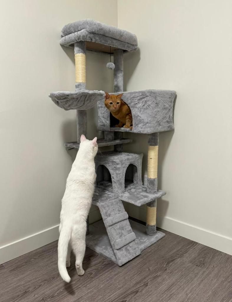 Grijze kattenkrabpaal 143cm met huisjes & hangmat, Dieren en Toebehoren, Ophalen of Verzenden, Zo goed als nieuw