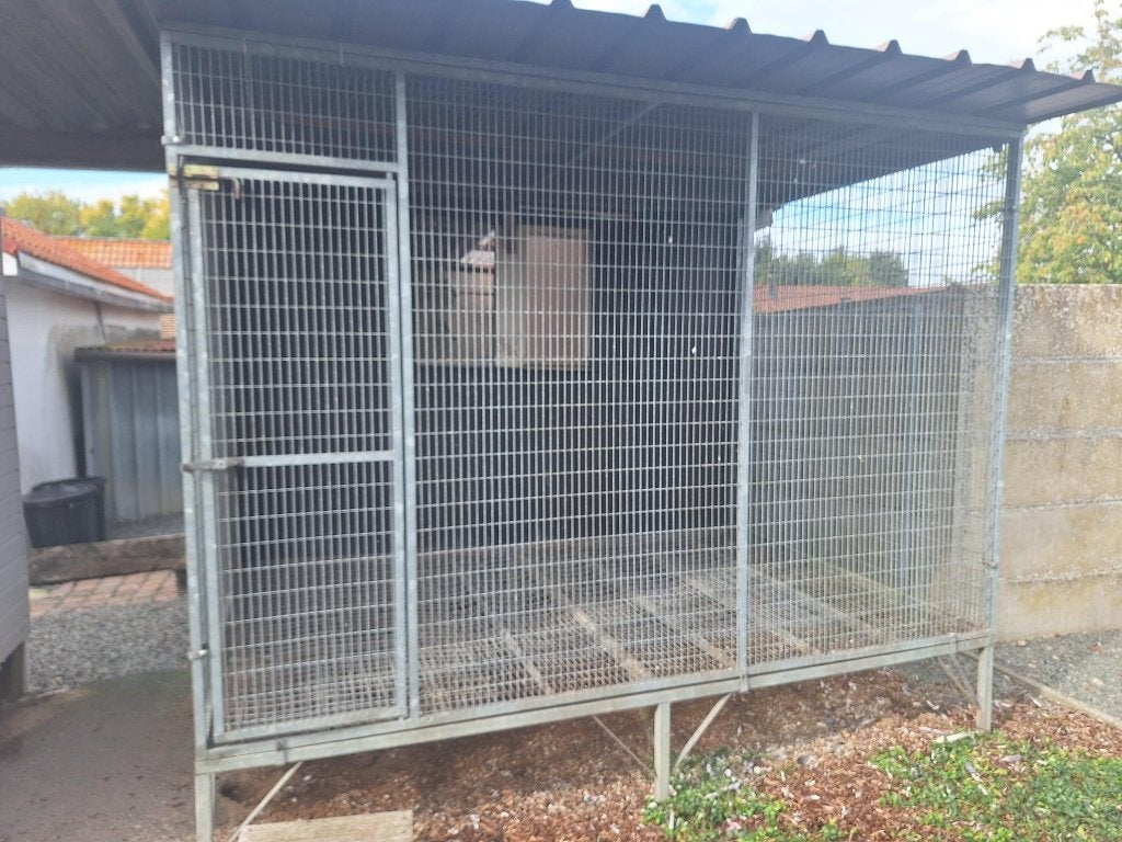 Duiven volière te koop 2x 3 m