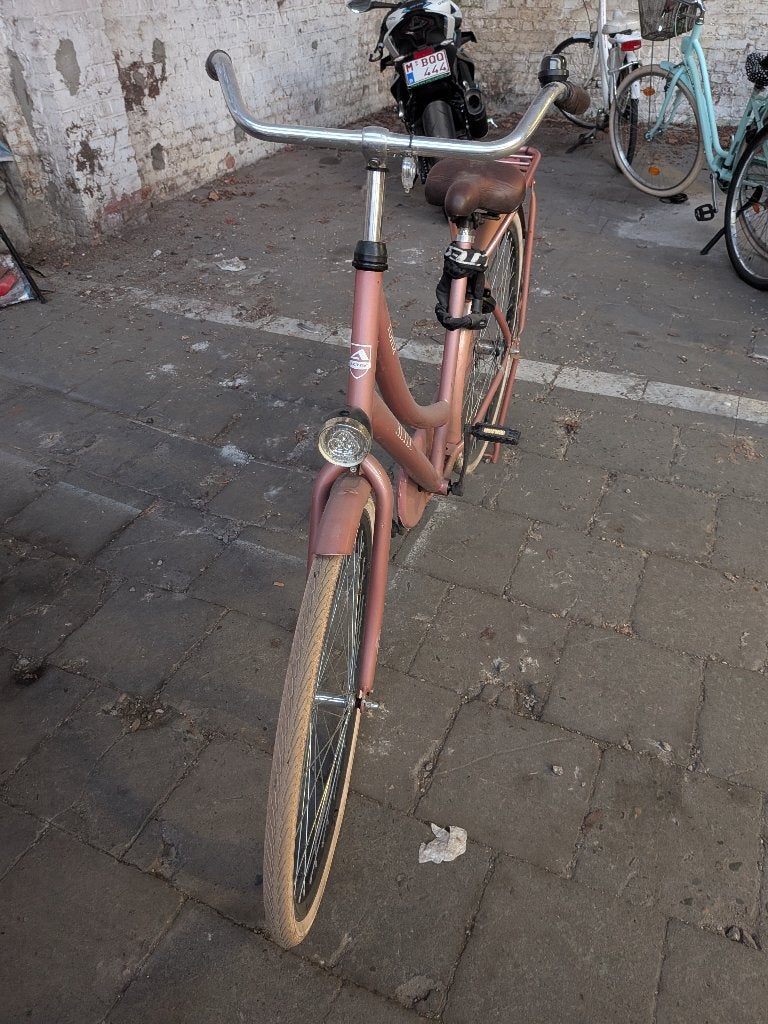 Dames Fiets, Fietsen en Brommers, Ophalen, Gebruikt, Terugtraprem, Overige merken