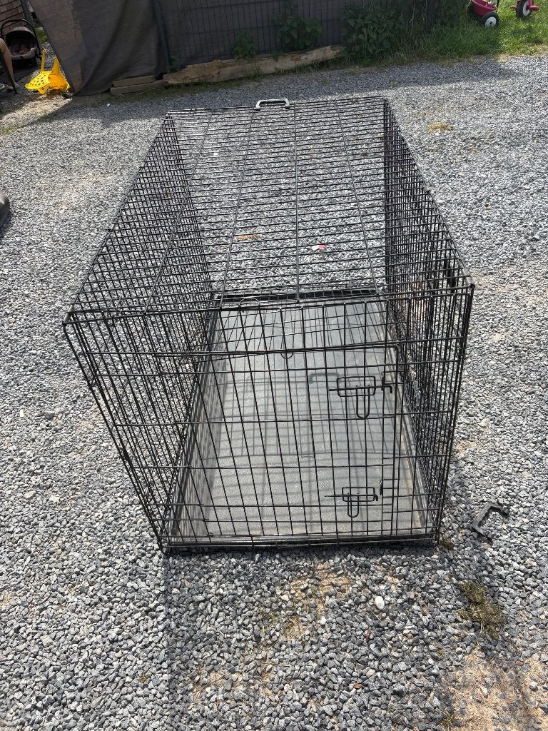 Cage à chien, Enlèvement