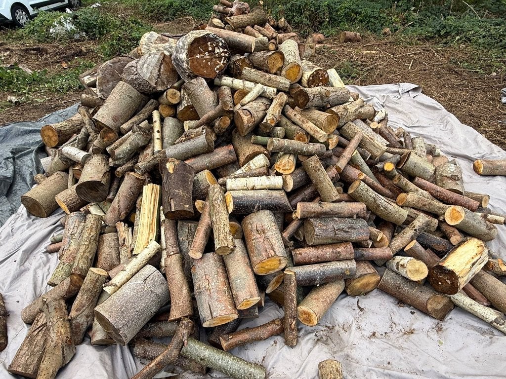 Brandhout, Enlèvement, Autres essences de bois, Bûches