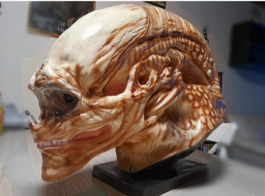 Newborn Alien Head 1/1, Verzamelen, Beelden en Beeldjes, Ophalen of Verzenden