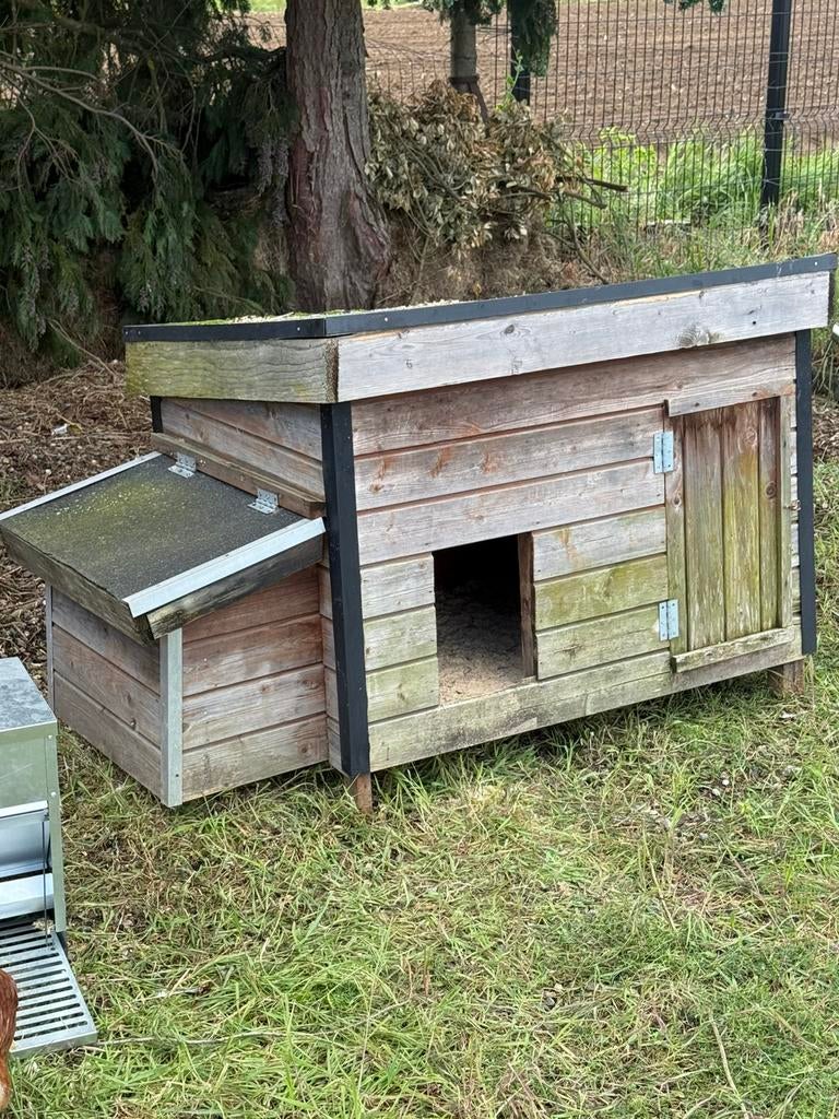 KIPPENHOK, Dieren en Toebehoren, Pluimvee | Toebehoren, Ophalen, Zo goed als nieuw